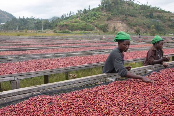 Rwanda -  Mblimina