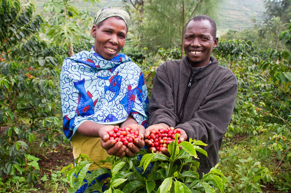 Kenya - Nyeri Hill AA