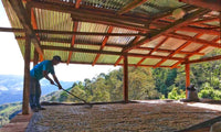 Peru- La Naranja Organic